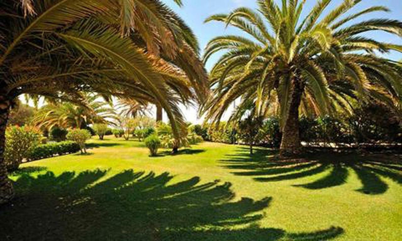 Apartment Great Sea View Alvor